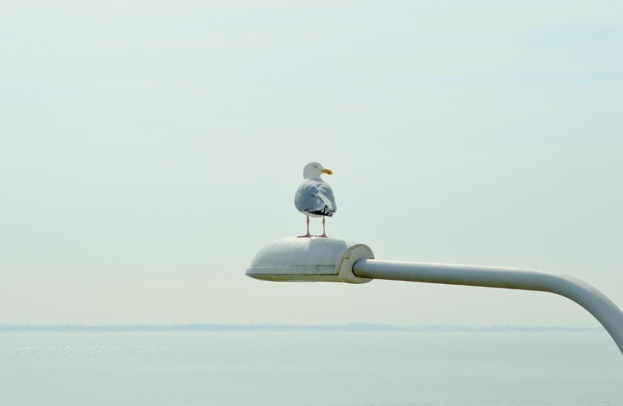 Hotel Belgische Loodsensocieteit Vlissingen Esterno foto
